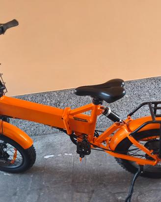 bicicletta elettrica 