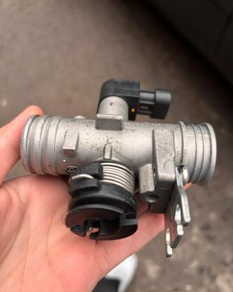 Liberty 50 corpo farfallato