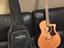 Immagine 5