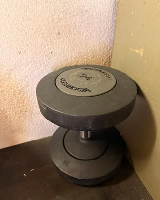 Manubrio Professionale Technogym Gommato 24 kg