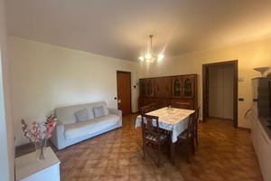 Stanza singola a lissone zona pacinotti