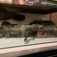 Paludario/terrario/terracquario con isola e sfondo