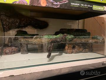 Paludario/terrario/terracquario con isola e sfondo