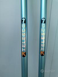 2 Canne da pesca al colpo