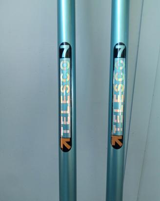 2 Canne da pesca al colpo