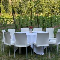 Sedie Pedrali bianche – lotto 100 pezzi