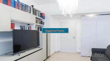 VIGNA CLARA MONOLOCALE ARREDATO MAX 1 COPPiA