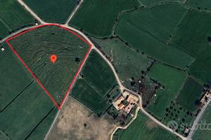 Terreno agricolo c.da Bussello Modica 24.000MQ