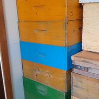 Melari con telaini senza cera