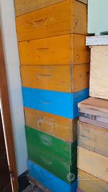 Melari con telaini senza cera