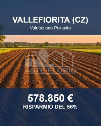 Immobile in asta di 632428 m² a Vallefiorita
