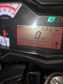 Benelli trk 502 stradale 