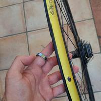 cerchio mtb 29