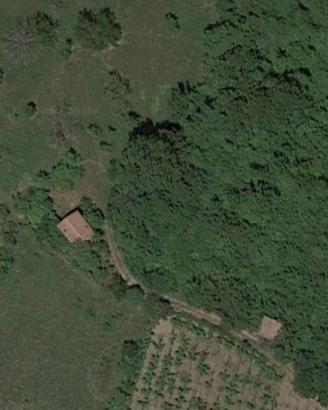 Terreno con fabbricato agricolo