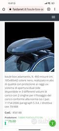 Baule da tetto portatutto Fabbri 460