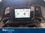 Immagine 11
