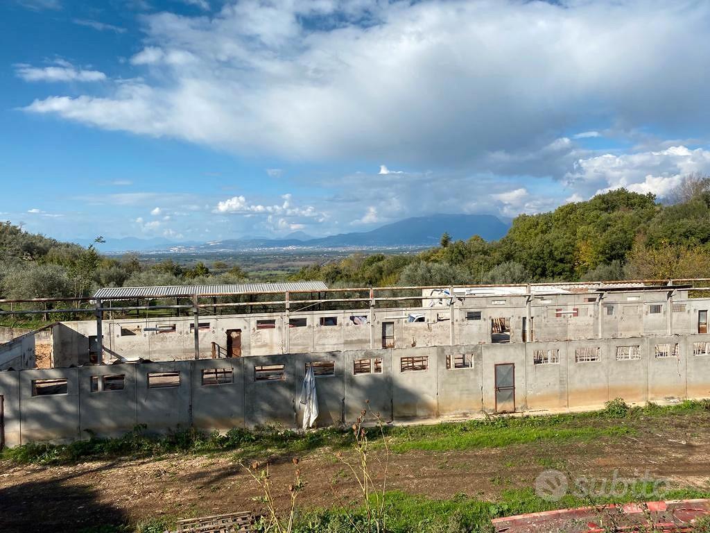 Azienda agricola Postiglione - Vista 6