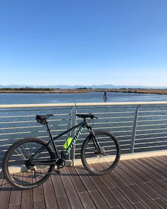 Bici mountain bike
