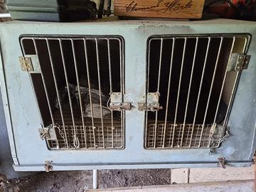 Gabbia trasporto cani+collari per addestramento 