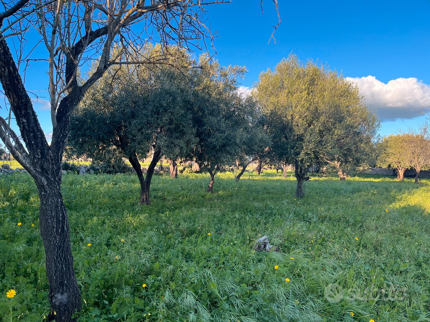 Contrada Cava Secca - Vista 3