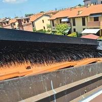 Dissuasori per piccioni, volatili, uccelli.SCOVOLI