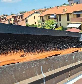 Dissuasori per piccioni, volatili, uccelli.SCOVOLI