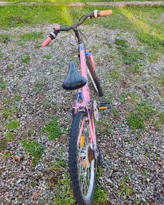 Mountain Bike Esperia 24" – Ragazza 
