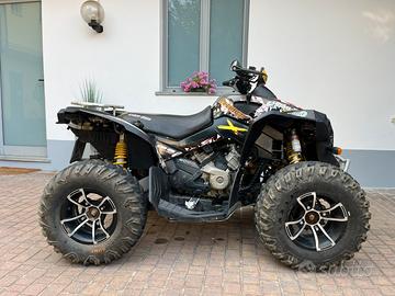 Can am renegade