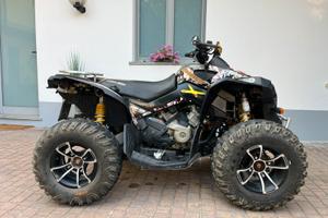 Can am renegade