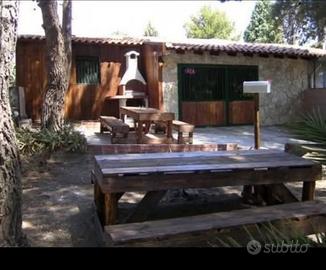 2ville+mansarda1300mqGiardinoVistaEtnaMascalucia