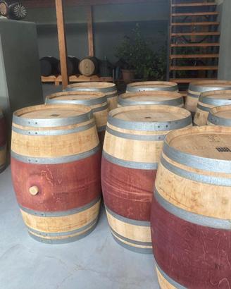 Barrique botti da 225L