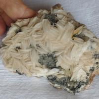 Barite bianca cristalli su matrice (Marocco)