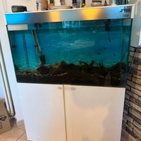 Acquario Ciano 200lt