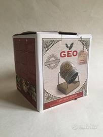 Geo Jar di Bavicchi vaso germogliatore