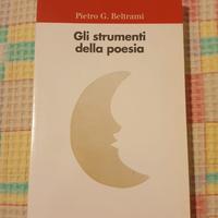 Gli strumenti della poesia