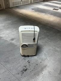 Condizionatore pinguino DeLonghi