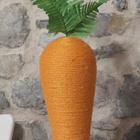 Carota tiragraffi per gatto