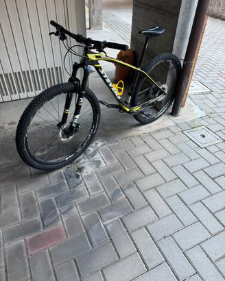 Mtb Stevens