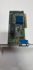 Scheda video grafica agp 