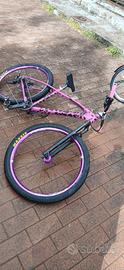 bicicletta