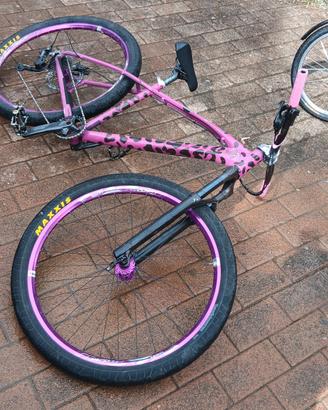 bicicletta