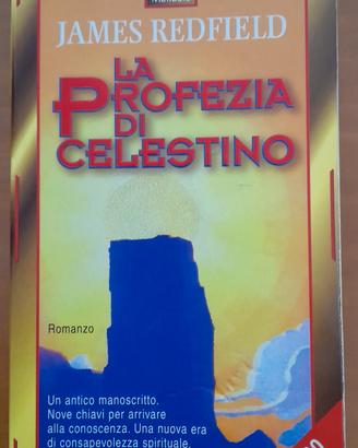 "La profezia di Celestino " 