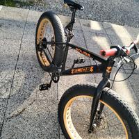 Fat bike