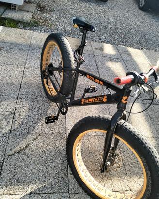 Fat bike