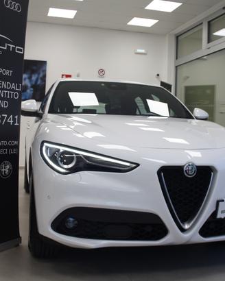 Alfa Romeo Stelvio 2.2 190 CV AT8 Q4