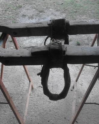 Coppia antico giogo per buoi