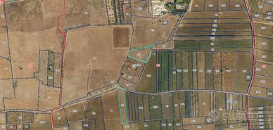 Terreno agricolo