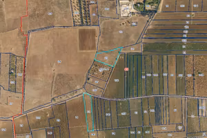 Terreno agricolo