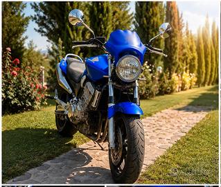 Hornet 900