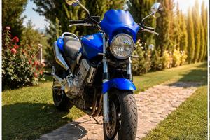 Hornet 900
